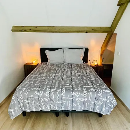 Bosbeertje 43 45 Tatil Evi