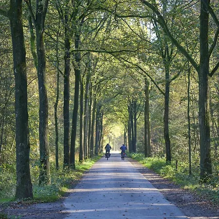 Bosbeertje 43 45 Dom wakacyjny