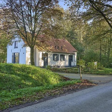 Dom wakacyjny Bosbeertje 43 45 *