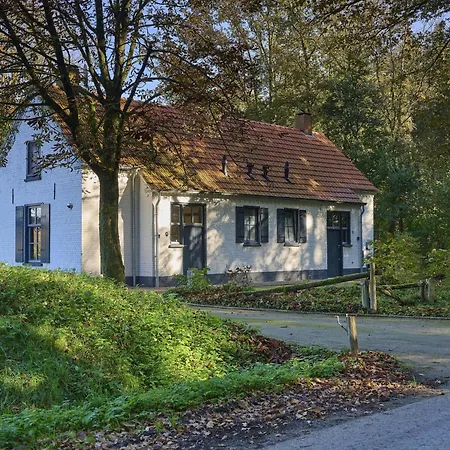 Dom wakacyjny Bosbeertje 43 45