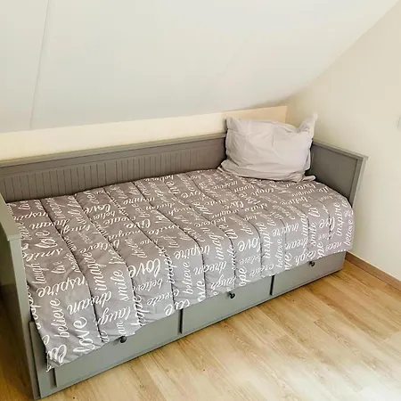 Dom wakacyjny Bosbeertje 43 45