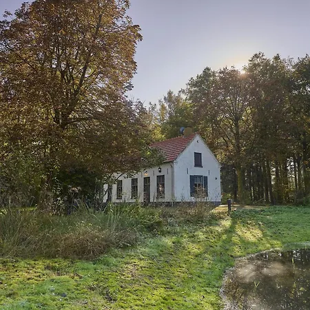 Bosbeertje 43 45 * Erp