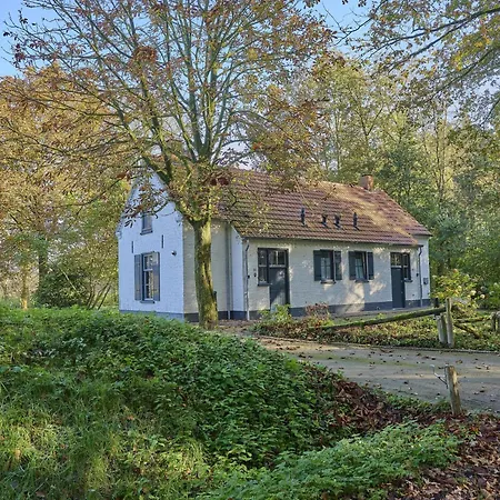 Bosbeertje 43 45 Dom wakacyjny *