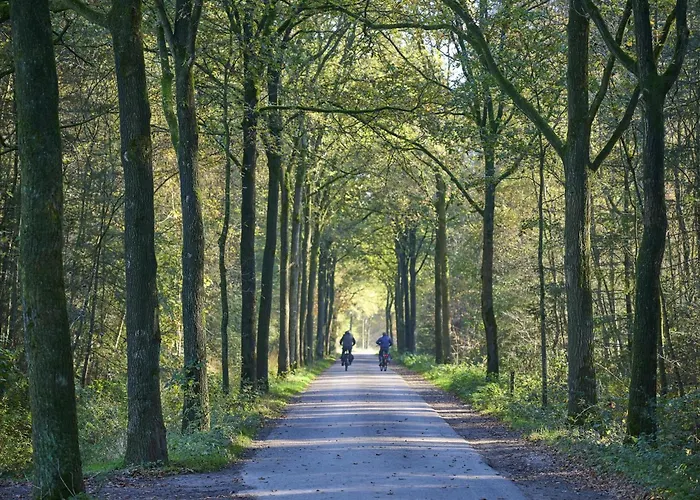 Bosbeertje 43 45 Holiday home