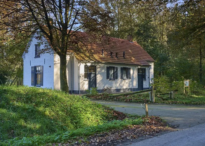 Holiday home Bosbeertje 43 45