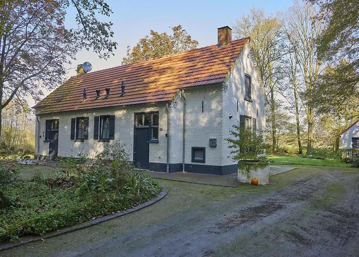 Bosbeertje 43 45 Holiday home