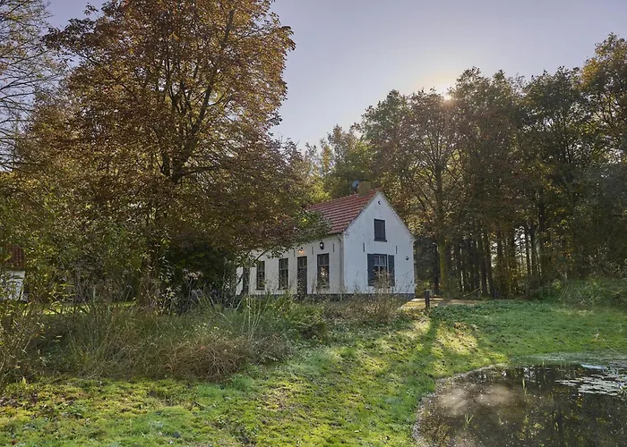 Bosbeertje 43 45 * Erp