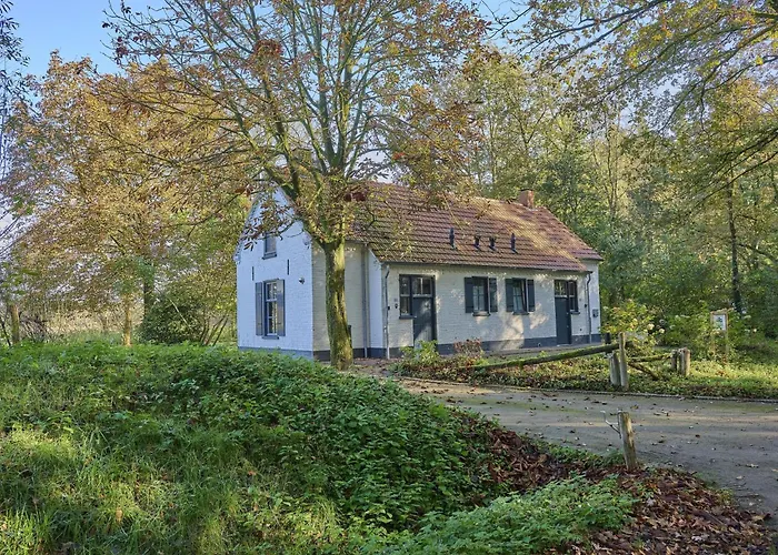 Bosbeertje 43 45 Holiday home *