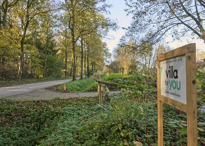 Bosbeertje 43 45 Erp